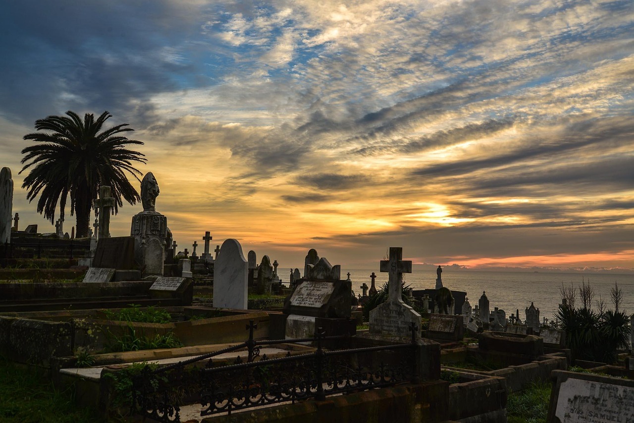 cemetery, graveyard, tombstones, sydney, nature, australia, sunrise, clouds, ocean